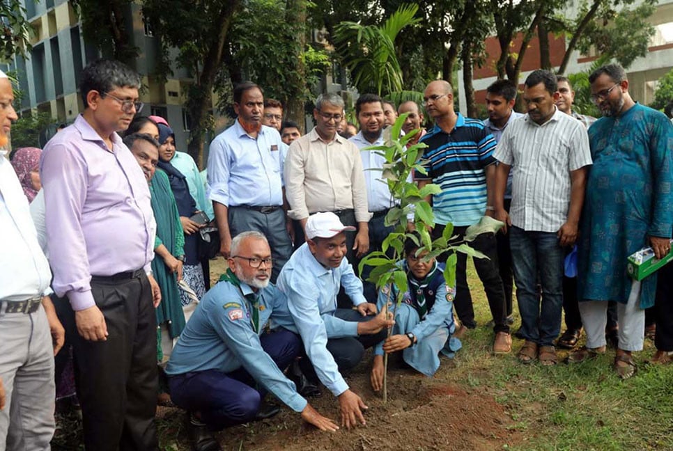 বগুড়ায় পাঁচ লাখ গাছের চারা রোপণ কার্যক্রম উদ্বোধন