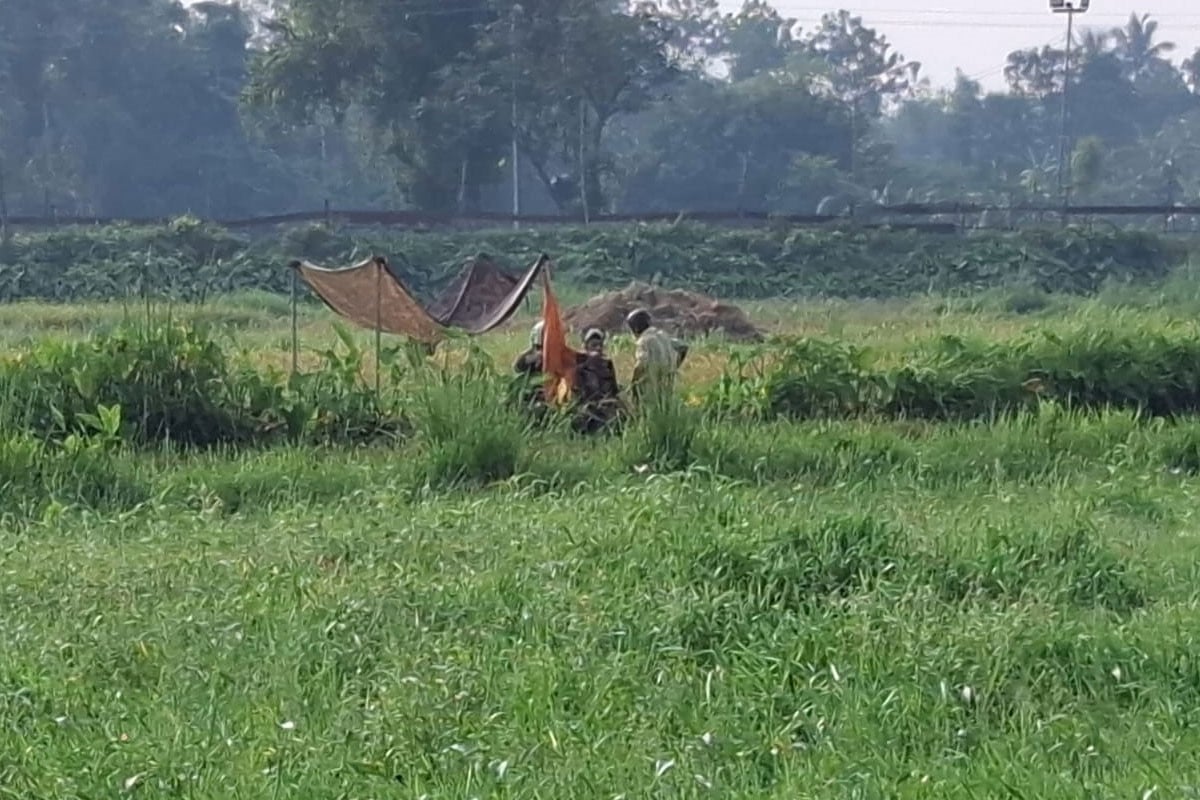 জয়পুরহাট সীমান্তে ভারতীয় বৃদ্ধকে পুশইনের চেষ্টা, বিজিবির প্রতিরোধে ব্যর্থ বিএসএফ