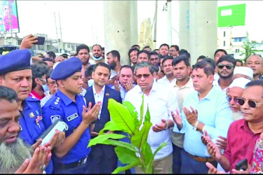রূপগঞ্জে ভাগাড় অপসারণ গাছ লাগালেন প্রতিমন্ত্রী