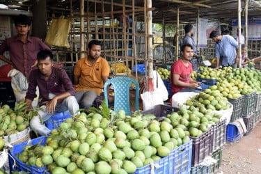 বাজারে এলো রংপুরের হাঁড়িভাঙা, ৩০০ কোটি টাকার ব্যবসার আশা