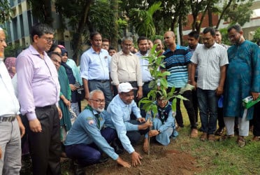 বগুড়ায় পাঁচ লাখ গাছের চারা রোপণ কার্যক্রম উদ্বোধন