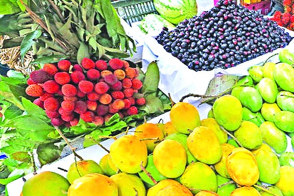 মৌসুমি ফলের আদ্যোপান্ত