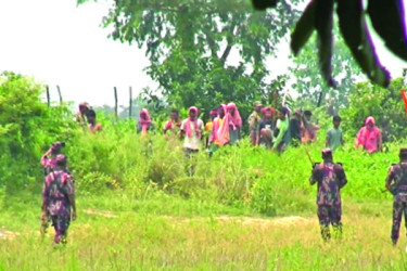 সীমান্তে পুশইনের চেষ্টা করছে বিএসএফ