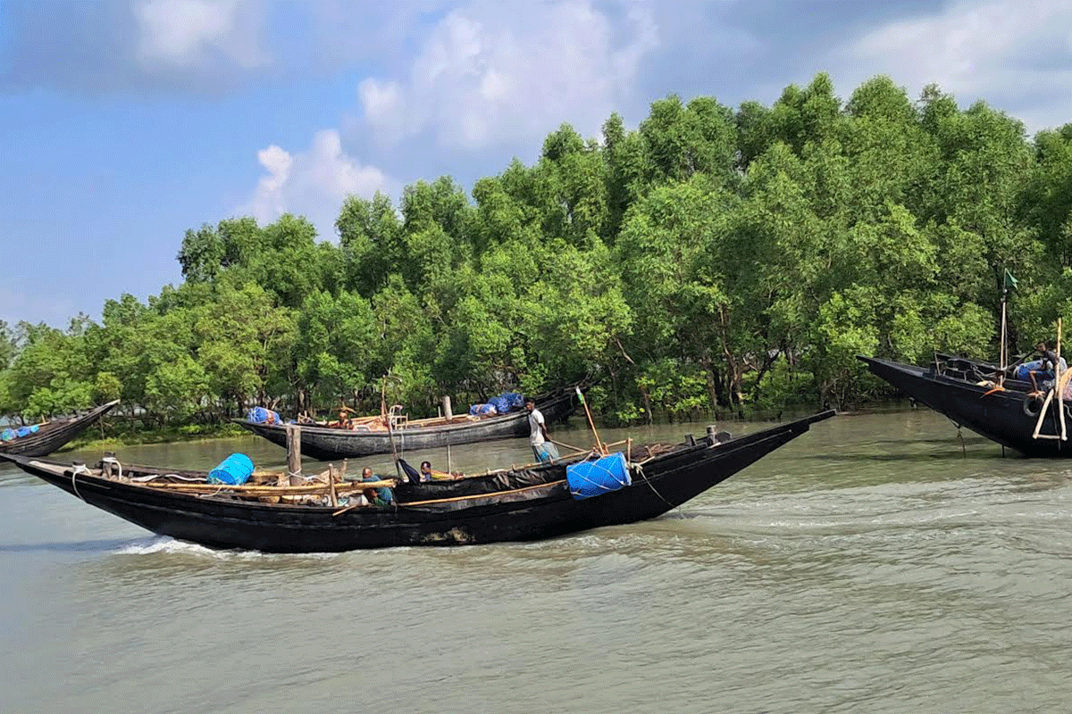 সুন্দরবনে মুক্তিপণ দিয়ে ছাড়া পেলেন ৫ অপহৃত জেলে