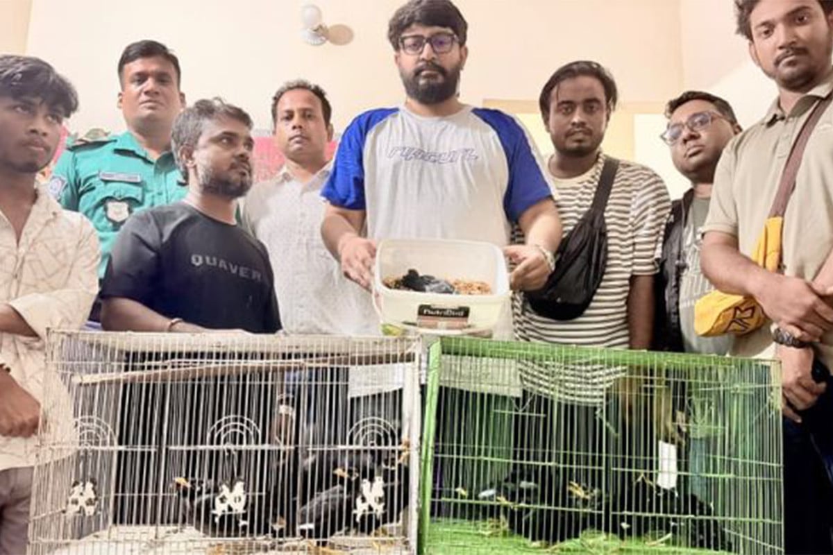অনলাইনে বিক্রির জন্য বাড়িতে রাখা ১৬ পাখি উদ্ধার, গ্রেফতার দুই