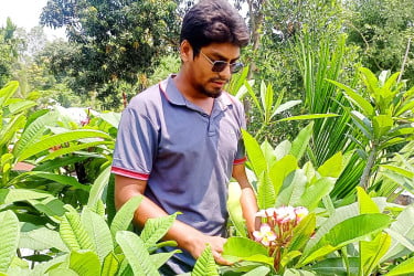 বিদেশে যাচ্ছে সারিয়াকান্দির তরুণ উদ্যোক্তার কাঠগোলাপের চারা