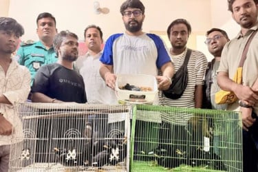 অনলাইনে বিক্রির জন্য বাড়িতে রাখা ১৬ পাখি উদ্ধার, গ্রেফতার দুই