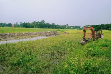 ব্রাহ্মণবাড়িয়ায় ফসলি জমির মাটি কাটার দায়ে লাখ টাকা জরিমানা