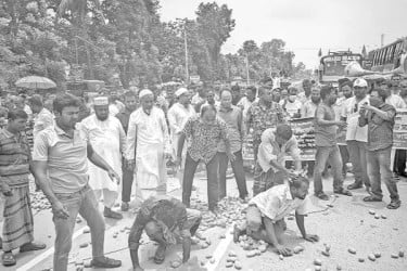 হিমাগার ভাড়া বৃদ্ধি, মহাসড়কে আলু ফেলে বিক্ষোভ