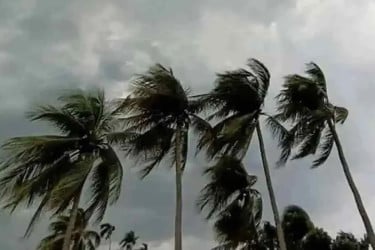 দুপুরের মধ্যে দেশের ১৩ অঞ্চলে ঝড়ের শঙ্কা