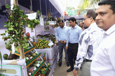 ‘হারিয়ে যাওয়া কাউ ঢেউয়া চালতা ফিরিয়ে আনতে হবে’