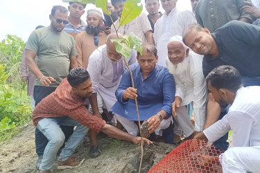 ‘খাল খনন শেষে দুই পাড়ের রাস্তায় বৃক্ষরোপণের উদ্যোগ নিয়েছে সরকার’