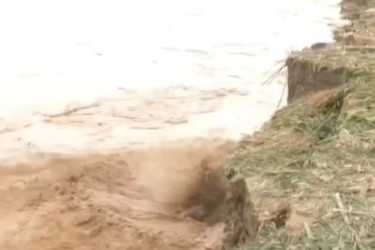 ব্রহ্মপুত্রের ভাঙনে গৃহহীন অর্ধশতাধিক পরিবার, ঝুঁকিতে আরও শতাধিক