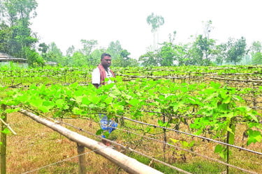 আবহাওয়ার পালাবদলে কৃষিতে পরিবর্তন
