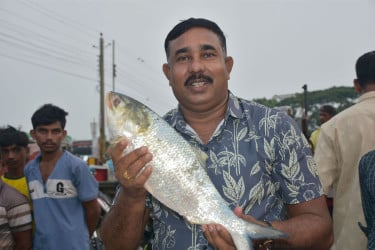 পদ্মার এক ইলিশের দাম ৮ হাজার ৪৬০ টাকা