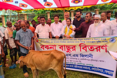 কোটালীপাড়ায় নিবন্ধিত জেলেদের মাঝে বকনা বাছুর বিতরণ
