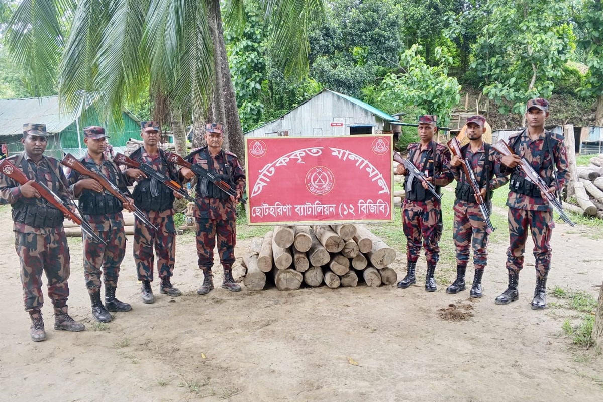 বরকলে বিজিবির অভিযান, অবৈধ সেগুন কাঠ জব্দ