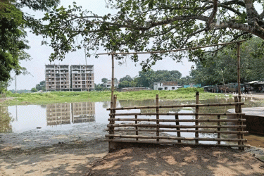 জৌলুস হারাচ্ছে মেহেরপুর পৌর পশুহাট