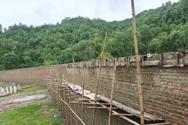 টেকনাফে বন্যহাতি চলাচলের পথে দেয়াল নির্মাণ, উদ্বেগ পরিবেশকর্মীদের