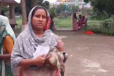 রাজহাঁসের পা ভাঙার প্রতিবাদ করতে গিয়ে হামলার শিকার নারী, থানায় অভিযোগ