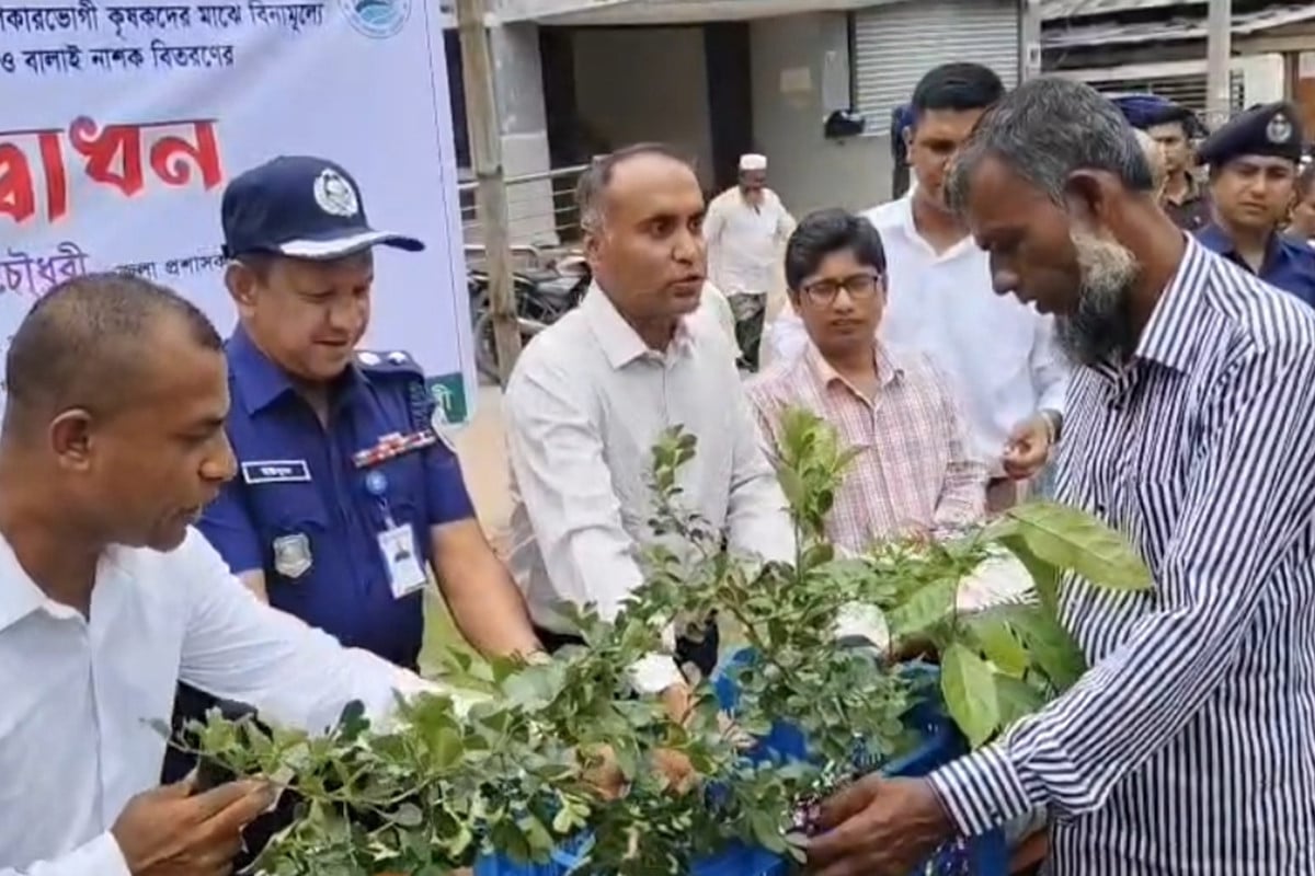 কলাপাড়ায় কৃষকদের মাঝে গাছের চারা, বীজ ও সার বিতরণ কার্যক্রম উদ্বোধন