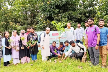 বসুন্ধরা টিস্যু ও শুভসংঘের যৌথ উদ্যোগ জাবিপ্রবি ক্যাম্পাসে বৃক্ষরোপণ কর্মসূচি