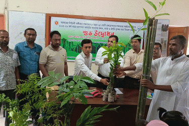সুবর্ণচরে ফলজ, বনজ ও ঔষধি গাছের চারা বিতরণ কর্মসূচির উদ্বোধন