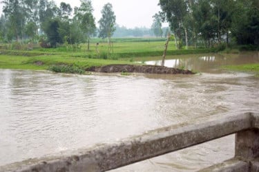 বিপৎসীমার নিচে নামলেও তিস্তার ভাঙন অব্যাহত