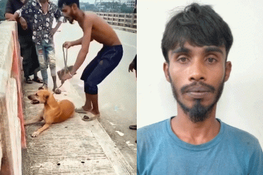 নরসিংদীতে কুকুরের গলায় ইট বেঁধে নদীতে ফেলার ঘটনায় যুবক আটক