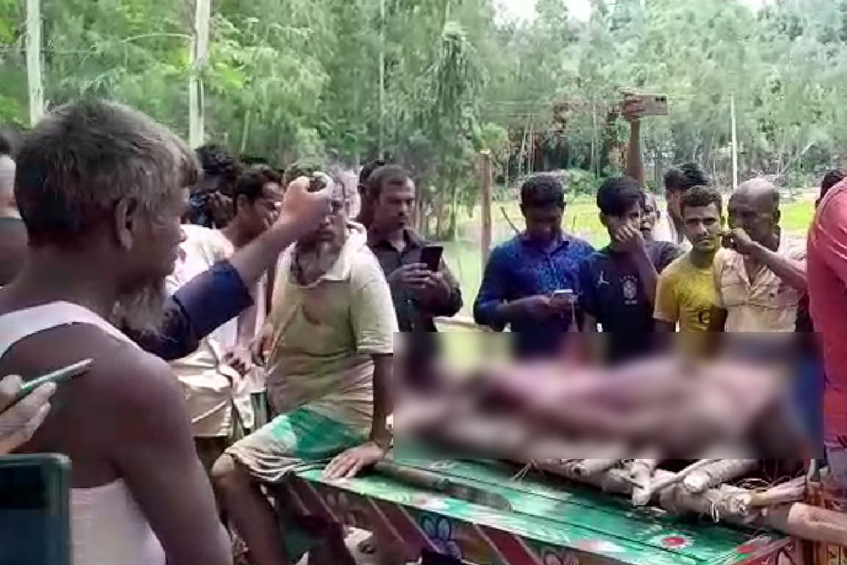 জামালপুরের বকশীগঞ্জে হাতির আক্রমণে একজনের মৃত্যু