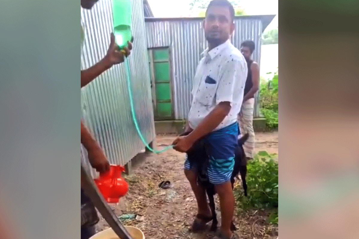 পাইপ দিয়ে পানি খাইয়ে ছাগল মোটাতাজা, গা ঢাকা দিলেন মালিক