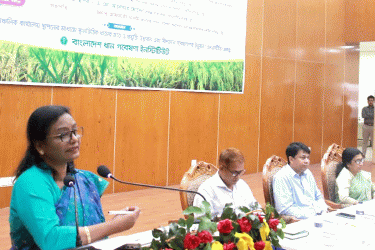 ব্রির এলএসটিডি প্রকল্পের কর্মশালা, তিনটি নতুন ধানের জাত অবমুক্ত