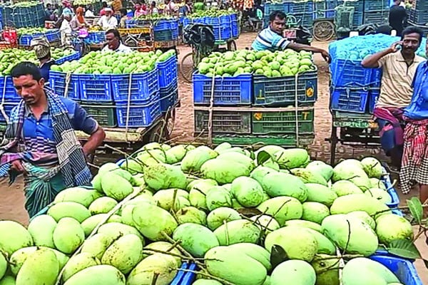 কানসাটে জমেছে আমের হাট