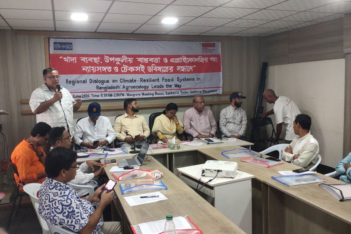 লবণাক্ততা ও জলবায়ু পরিবর্তনে ঝুঁকিতে সাতক্ষীরার কৃষি