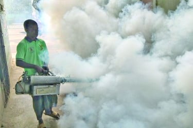 মশা ও বর্জ্যমুক্ত সিটি হবে বগুড়া