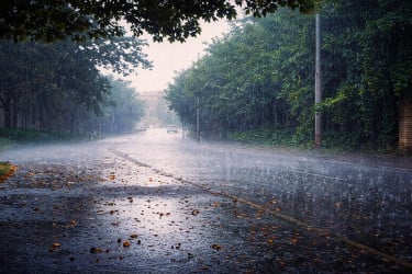 ১২ অঞ্চলে ঝড়-বৃষ্টির আভাস