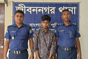 শ্বশুরবাড়ি এসে ঘুমন্ত স্ত্রীকে কুপিয়ে জখম, অতঃপর...
