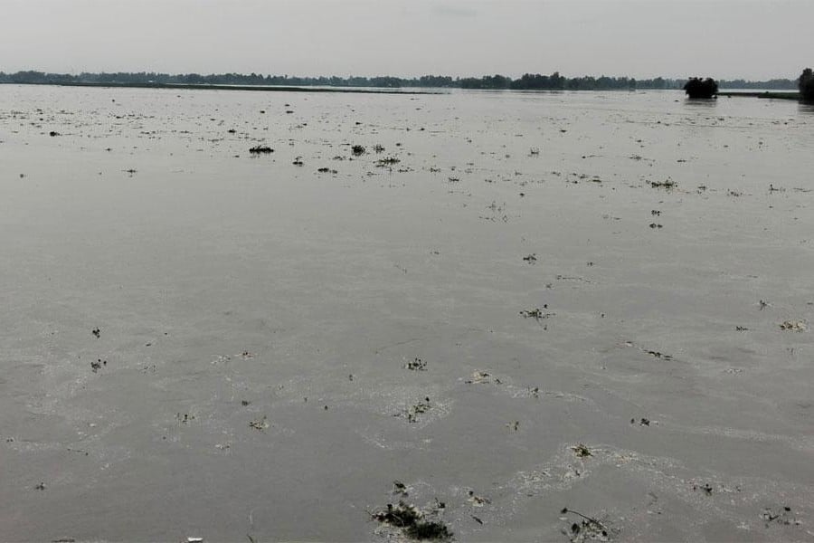 দুধকুমার নদের পানি বিপৎসীমার ১৬ সেন্টিমিটার ওপরে, সৃষ্টি হতে বন্যা পরিস্থিতি