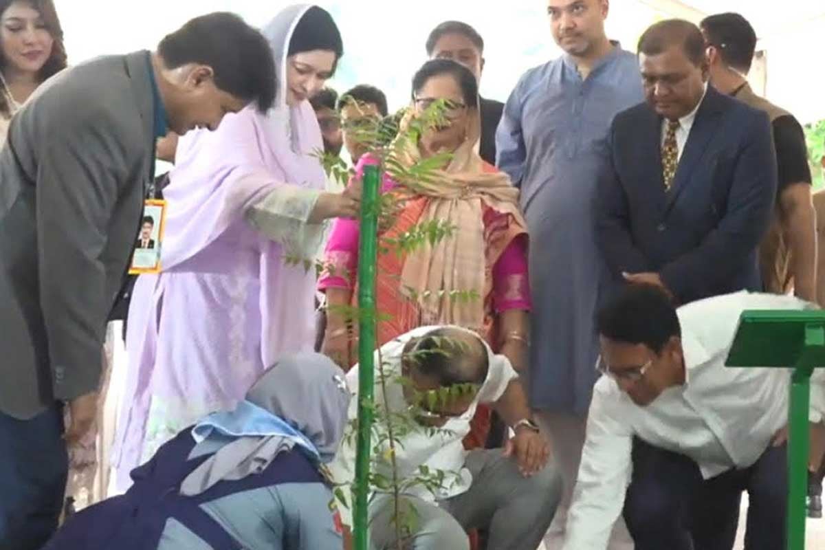২৯ হাজার শিক্ষাপ্রতিষ্ঠানে বৃক্ষরোপণ কর্মসূচির উদ্বোধন প্রধানমন্ত্রীর