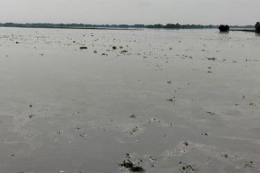 দুধকুমার নদের পানি বিপৎসীমার ১৬ সেন্টিমিটার ওপরে, সৃষ্টি হতে বন্যা পরিস্থিতি