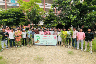 বসুন্ধরা টিস্যু ও বসুন্ধরা শুভসংঘের উদ্যোগে তিতুমীর কলেজে বৃক্ষরোপণ কর্মসূচি