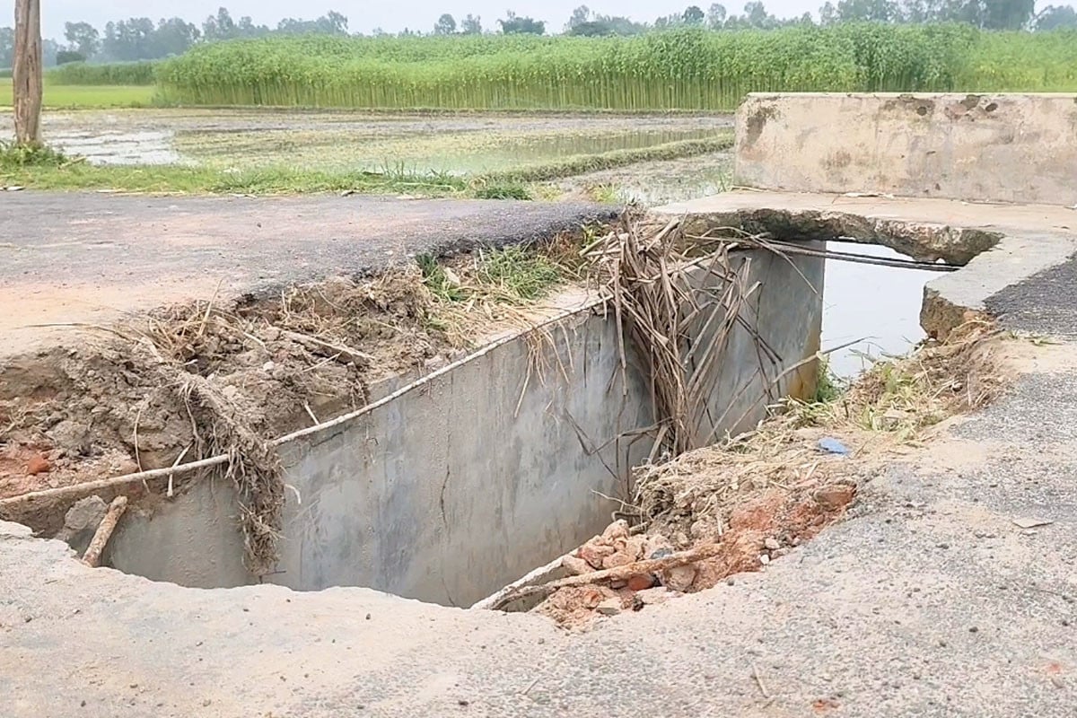 ঠাকুরগাঁওয়ে ভাঙা কালভার্ট যেন মরণফাঁদ, চরম দুর্ভোগে হাজারো মানুষ