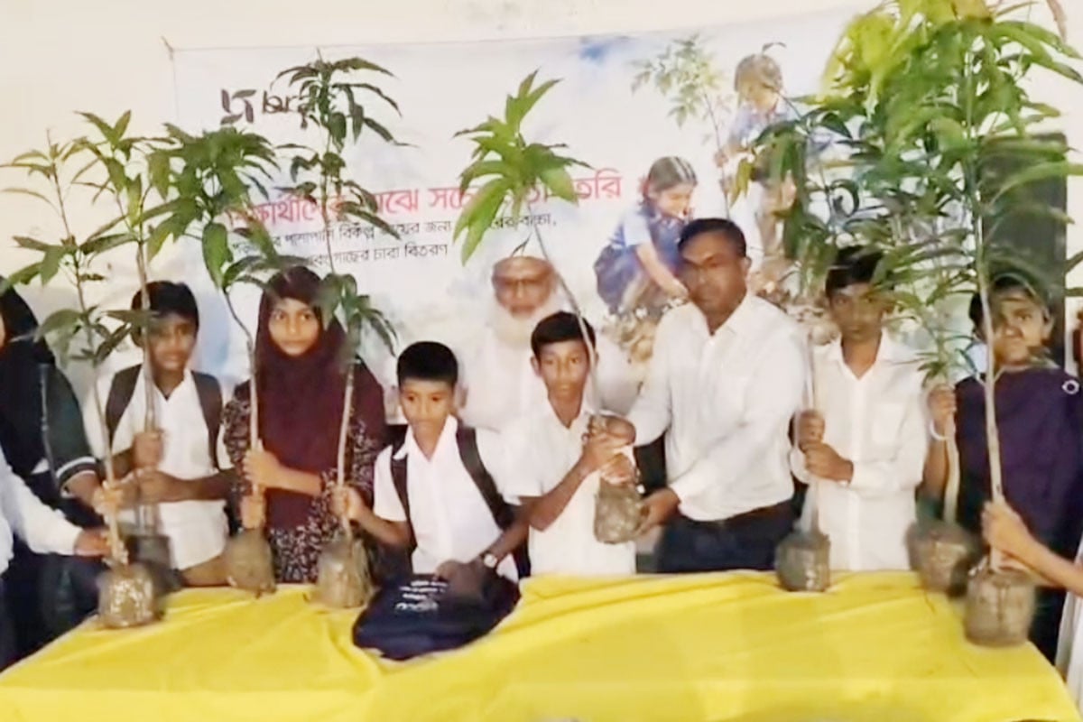 কলাপাড়ায় গাছের চারা বিতরণ