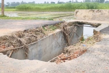 ঠাকুরগাঁওয়ে ভাঙা কালভার্ট যেন মরণফাঁদ, চরম দুর্ভোগে হাজারো মানুষ