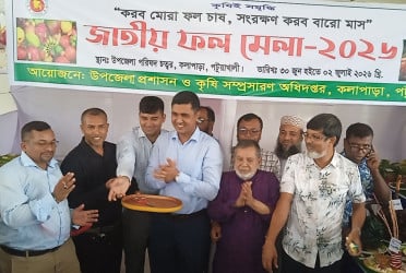 কলাপাড়ায় জাতীয় ফল মেলা শুরু