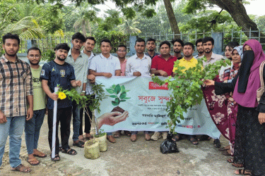 আজিজুল হক কলেজে বসুন্ধরা টিস্যু ও শুভসংঘের বৃক্ষরোপণ কর্মসূচি