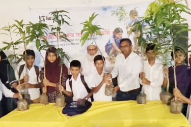 কলাপাড়ায় গাছের চারা বিতরণ