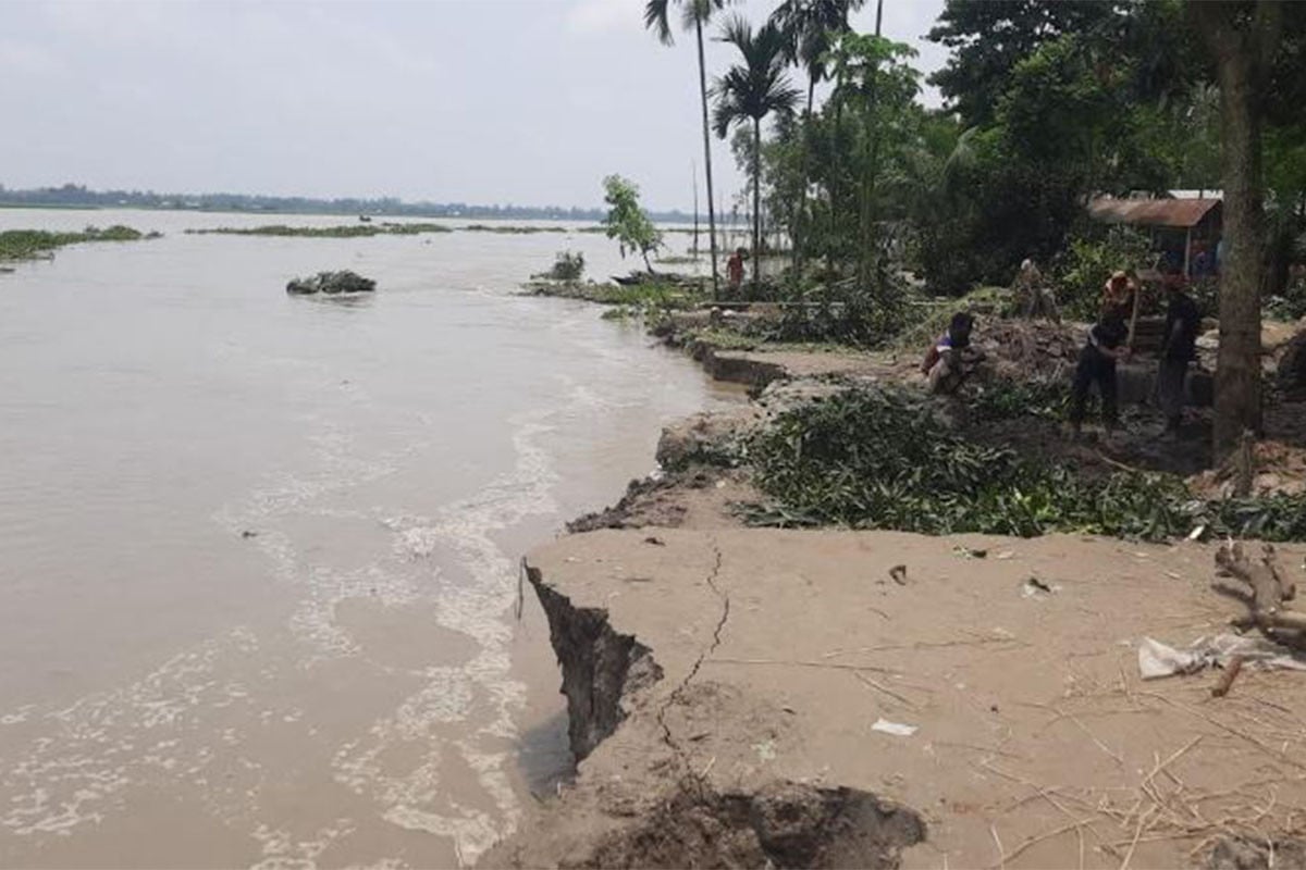 কুড়িগ্রামে পানি কমলেও তীব্র নদীভাঙন, বিলীন হচ্ছে ঘরবাড়ি-ফসলি জমি