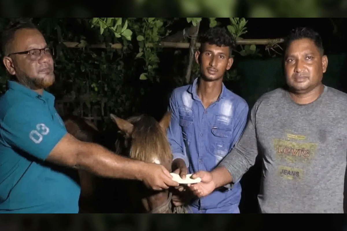 অন্ধ ঘোড়াকে আশ্রয় দেওয়া সাতক্ষীরার সোহানের পাশে প্রধানমন্ত্রী