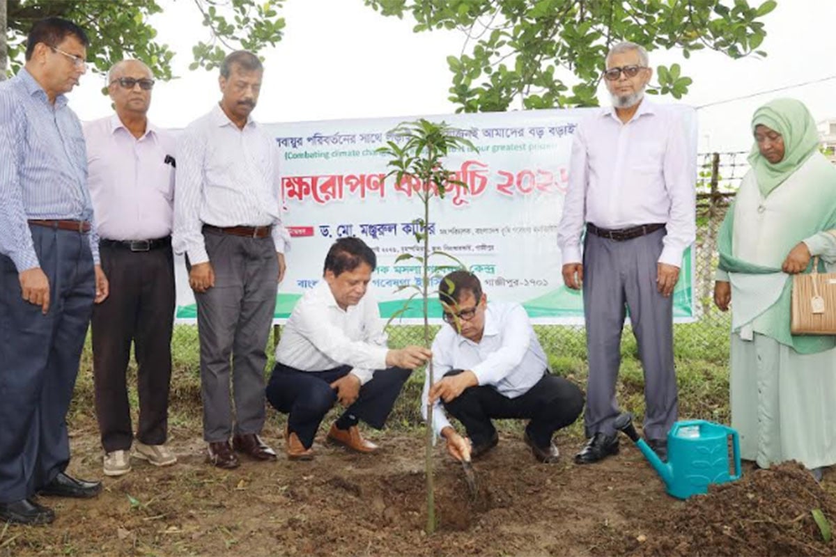 বারিতে বৃক্ষরোপণ কর্মসূচির উদ্বোধন